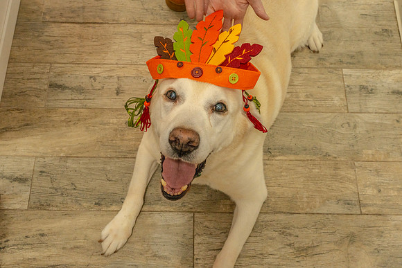 Thanksgiving_2024_08