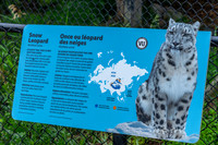 Churchill_Manitoba_2025_009