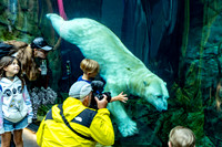 Churchill_Manitoba_2025_018