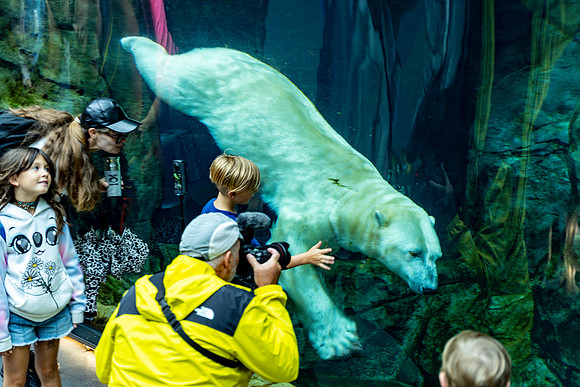Churchill_Manitoba_2025_018