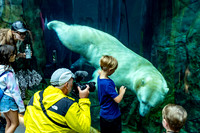 Churchill_Manitoba_2025_019
