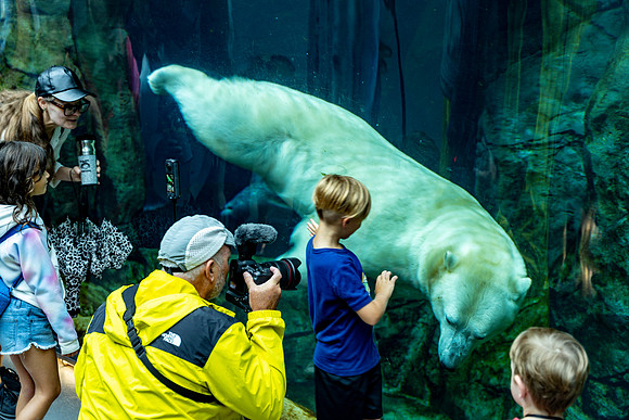 Churchill_Manitoba_2025_019