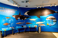 Churchill_Manitoba_2025_020