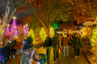 Dollywood Nov 25 03