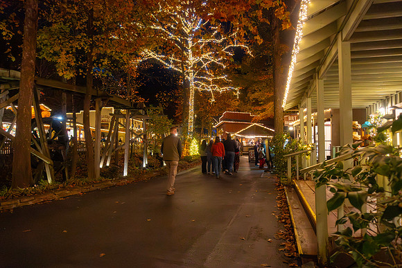 Dollywood Nov 25 01