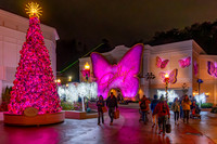 Dollywood Nov 25 12
