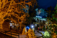 Dollywood Nov 25 16