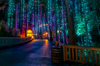 Dollywood Nov 25 20