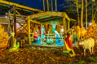 Dollywood Nov 25 19