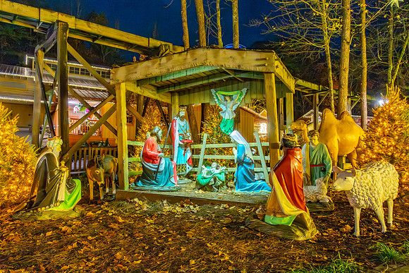 Dollywood Nov 25 19