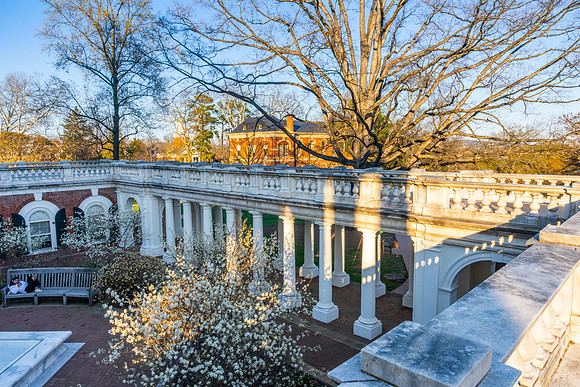 WashingtonDC_2025_011