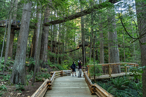 Alaska2024_D1_Vancouver_013