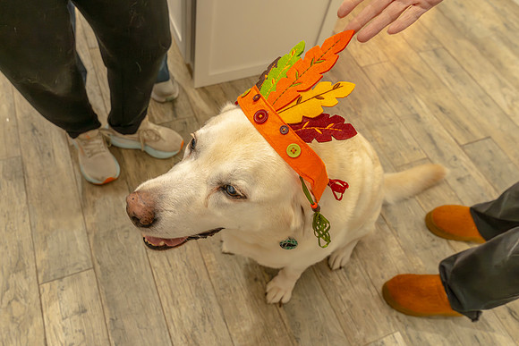 Thanksgiving_2024_09